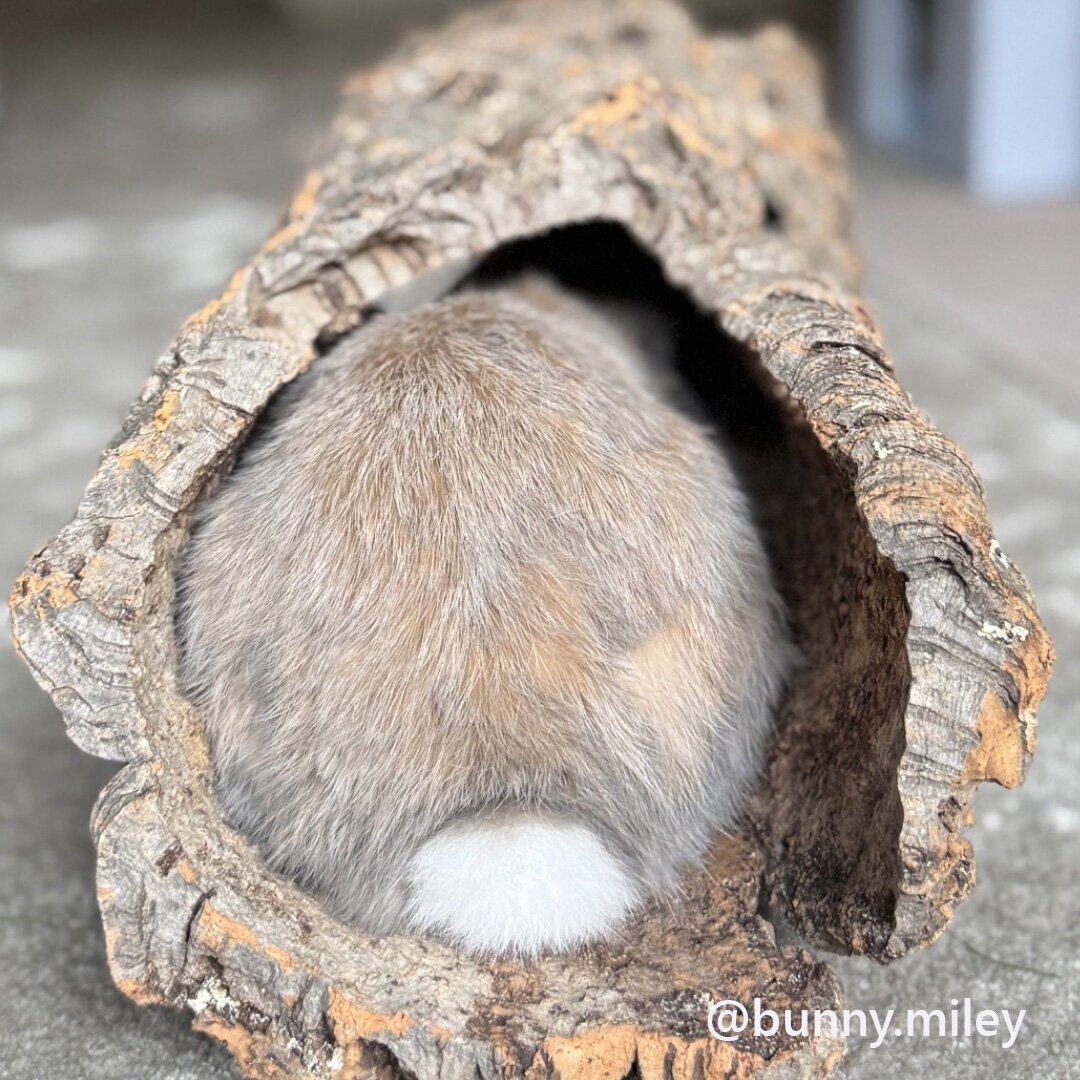 Korktunnel