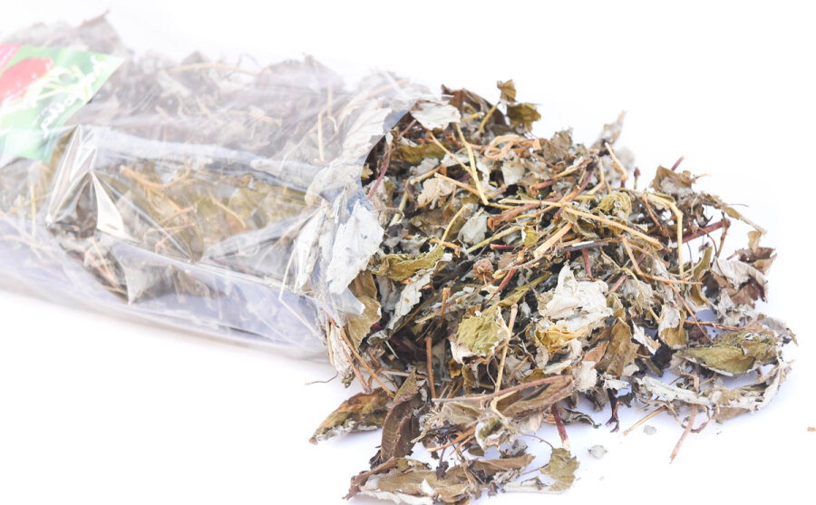 grünhopper Himbeere