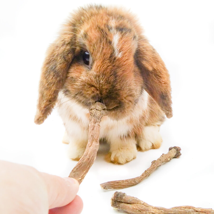 grünhopper Löwenzahnwurzel 500 g