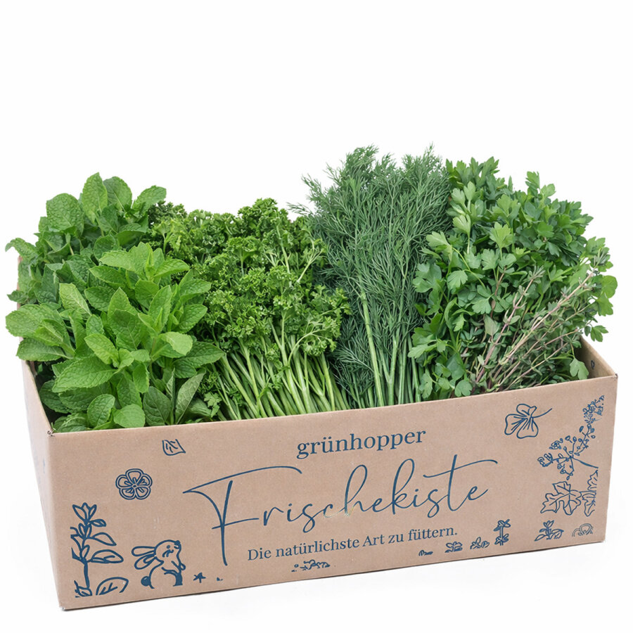 Frischekiste Gartenkräuter AUSVERKAUFT