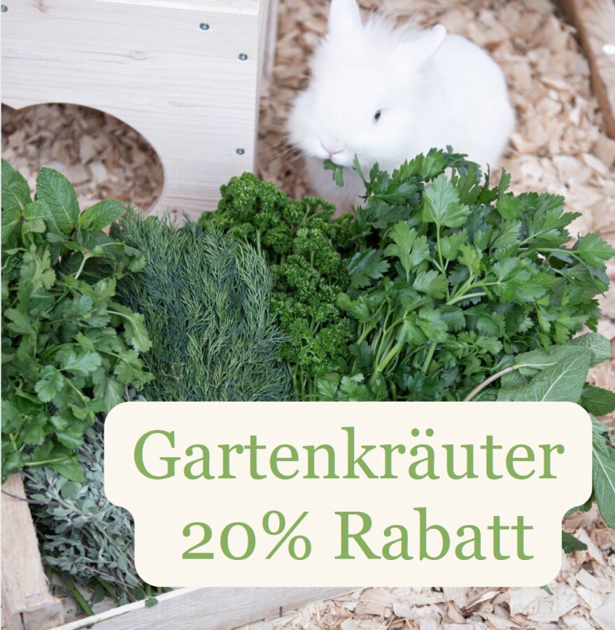 Frischekiste Gartenkräuter