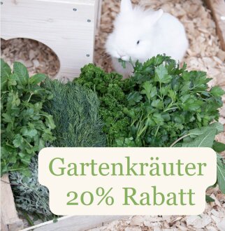 Frischekiste Gartenkräuter