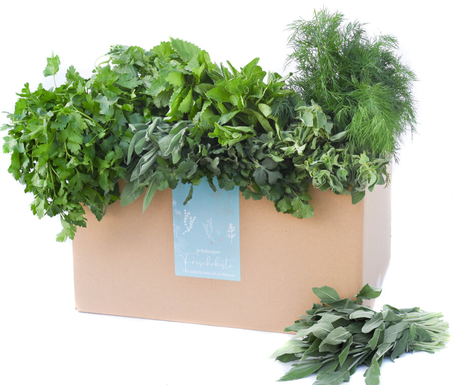 Frischekiste Gartenkräuter 3 kg