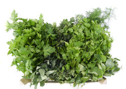 Frischekiste Gartenkräuter 3 kg