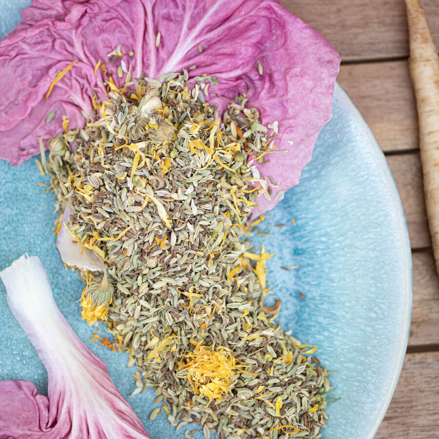 grünhopper Darmwohl