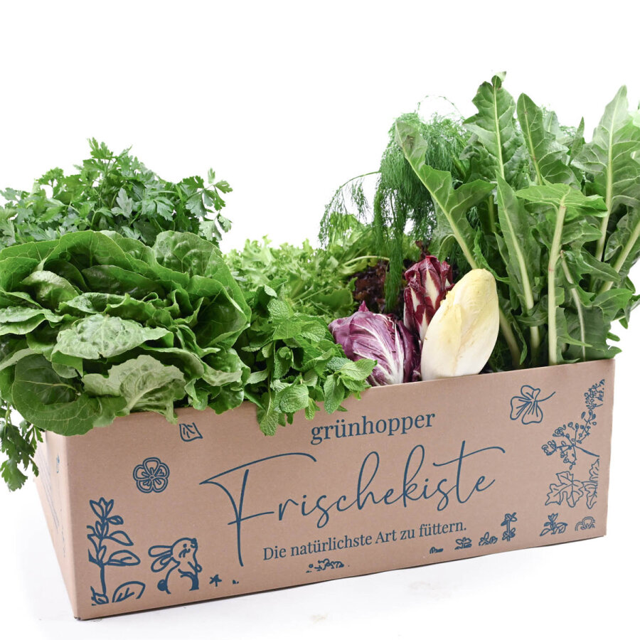 Frischekiste Salat&Kräuter 3 kg