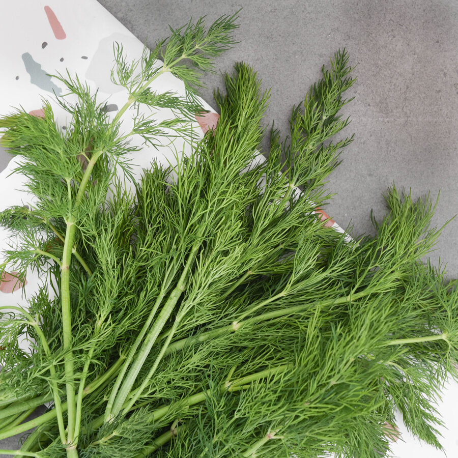 Frischekiste Dill AUSVERKAUFT!