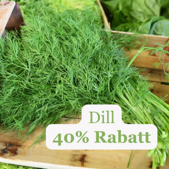 Frischekiste Dill