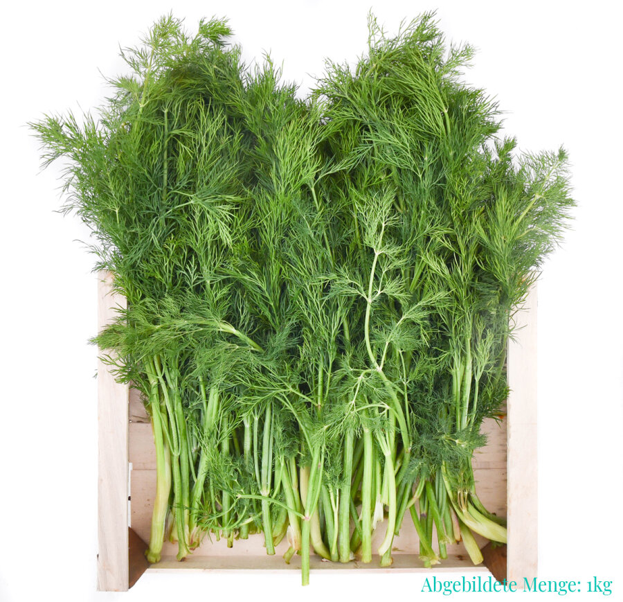 Frischekiste Dill 1 kg