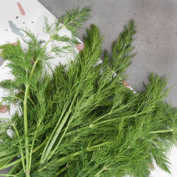 Frischekiste Dill 1 kg