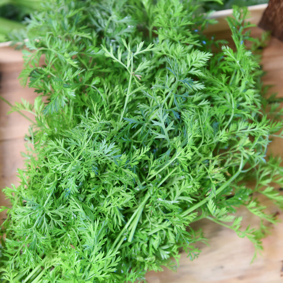 Frischekiste Karottengrün AUSVERKAUFT!