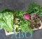 Frischekisten Abo Salat&Kräuter 6 kg