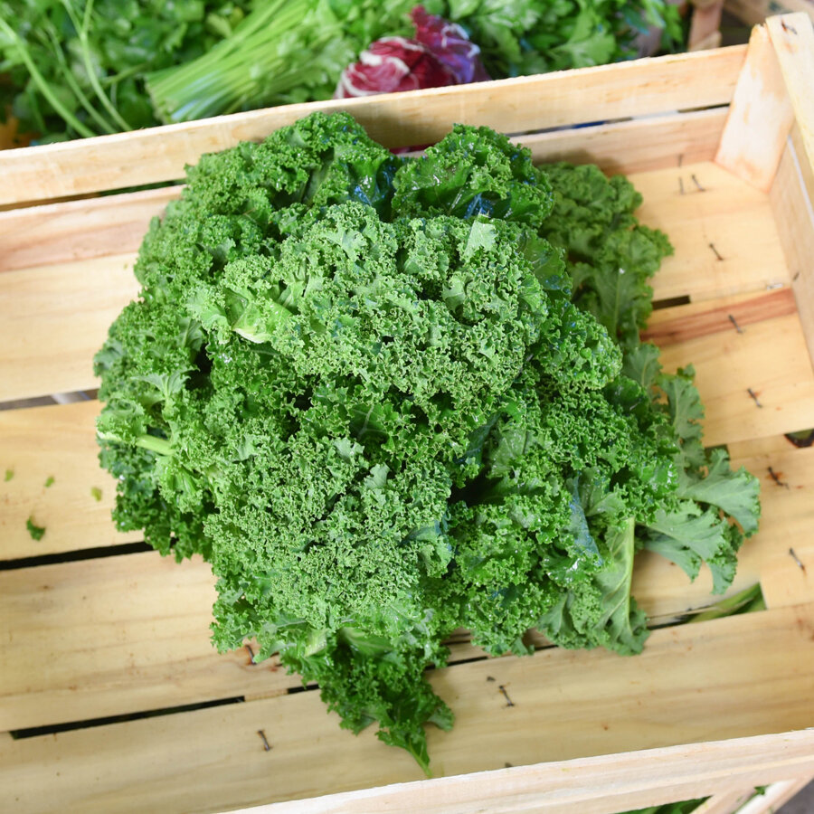 Frischekiste Grünkohl
