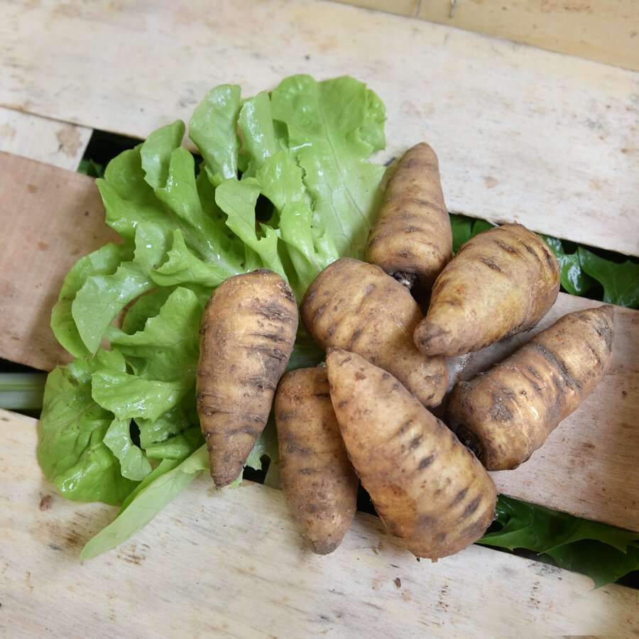 Frischekiste Kerbelwurzel 200 g