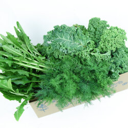 Frischekiste Winterfutter 5 kg