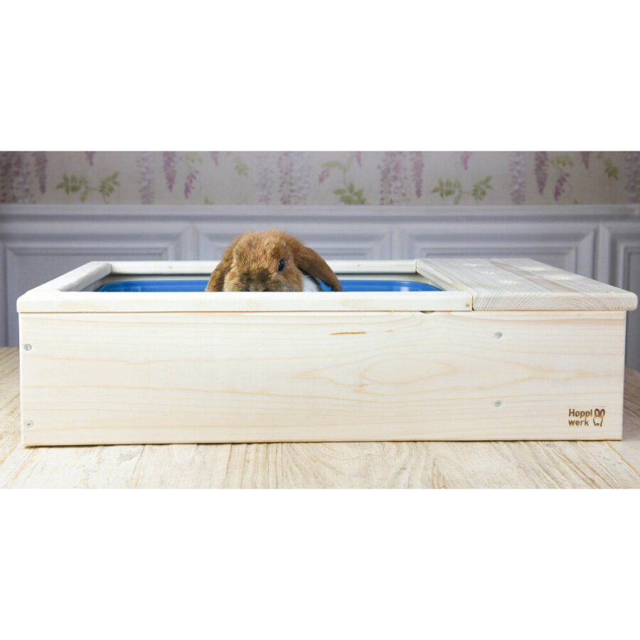 Hopplwerk Toilette mit Möhrchenbar