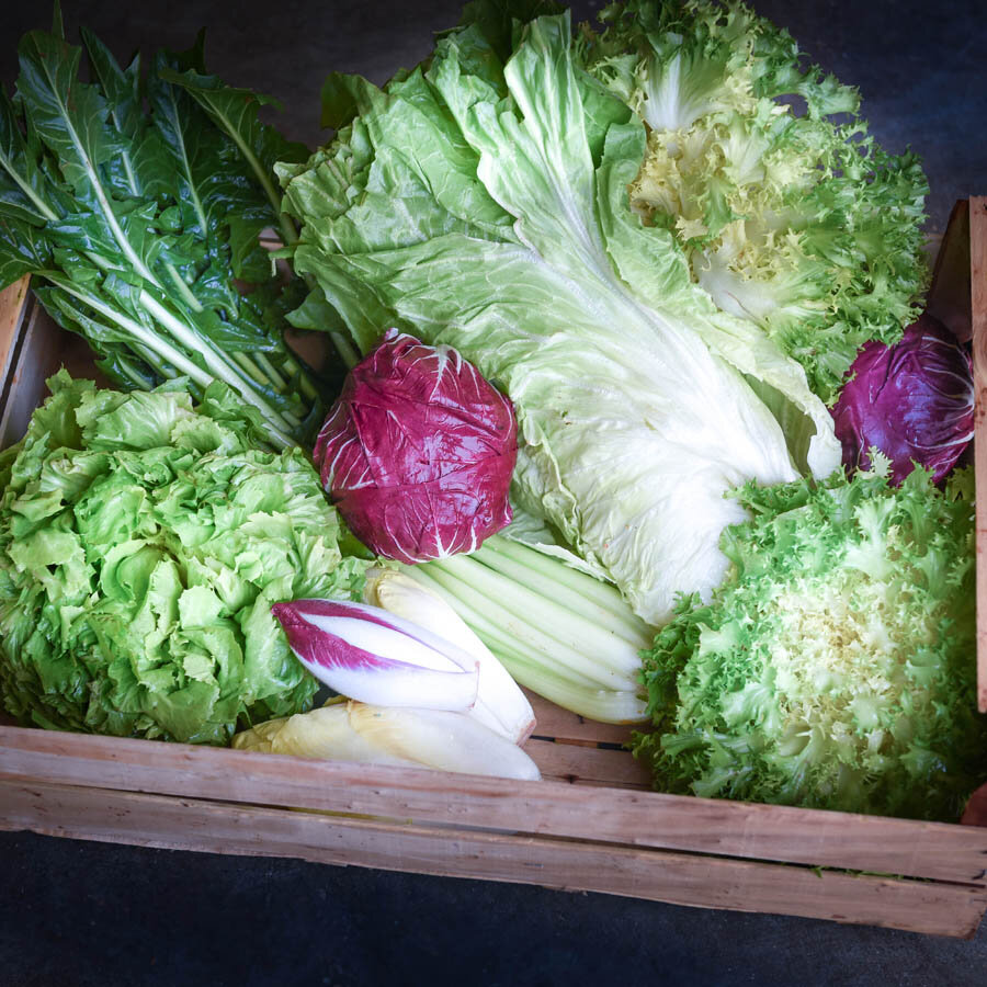 Frischekiste Bittersalatbox 3 kg