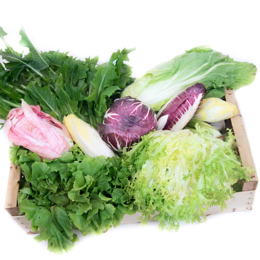 Frischekiste Bittersalatbox 6 kg