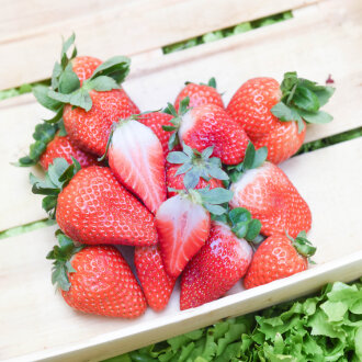 Frischekiste Erdbeeren 250 g Schale
