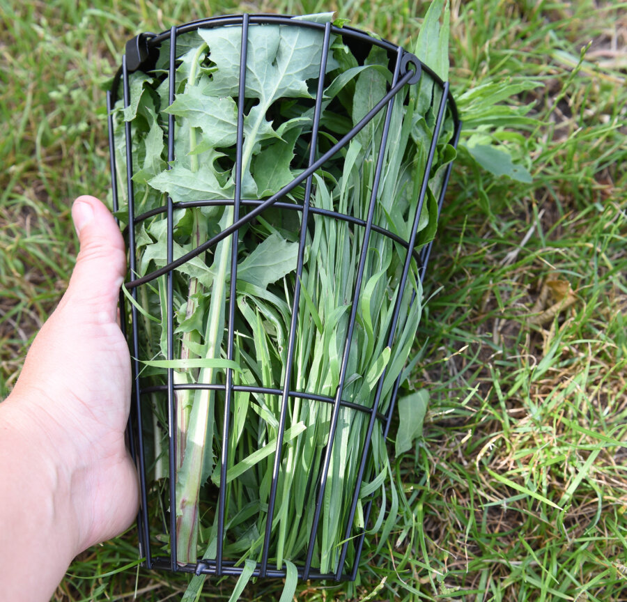 Grünfutterraufe Melissa