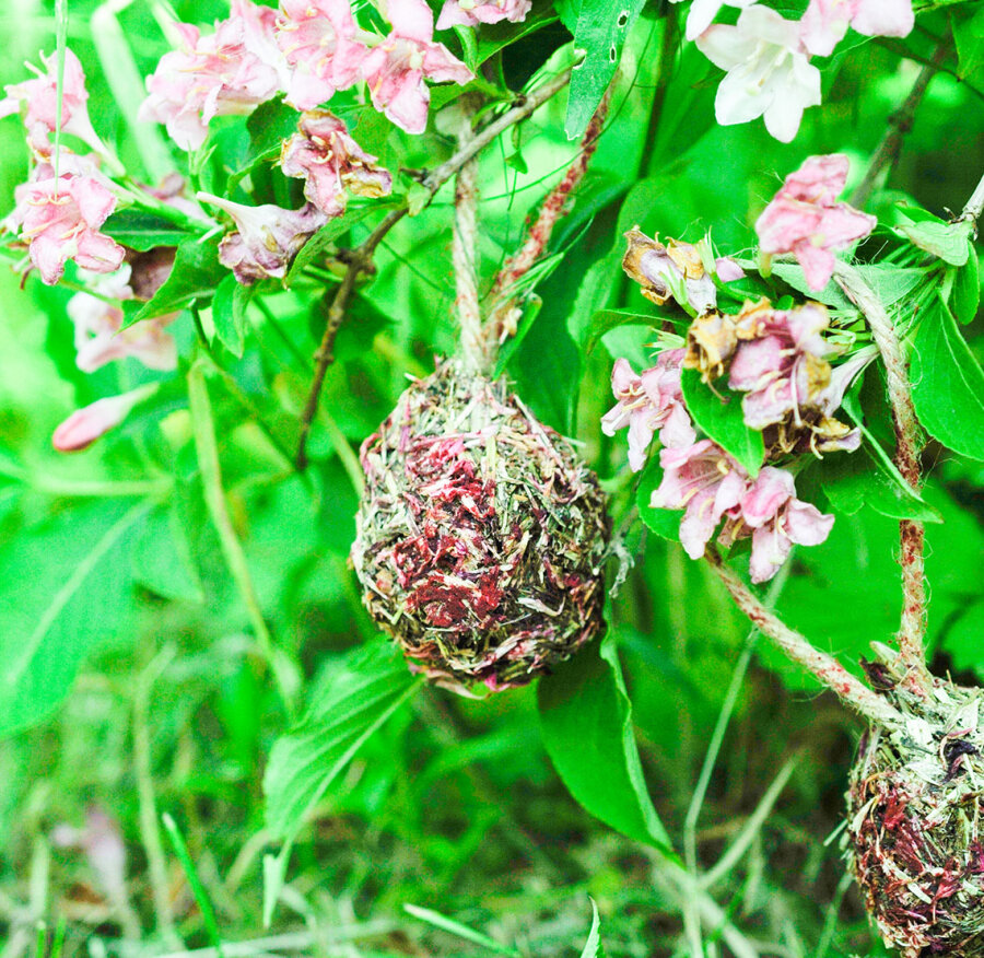 grünhopper Himbeer Loops