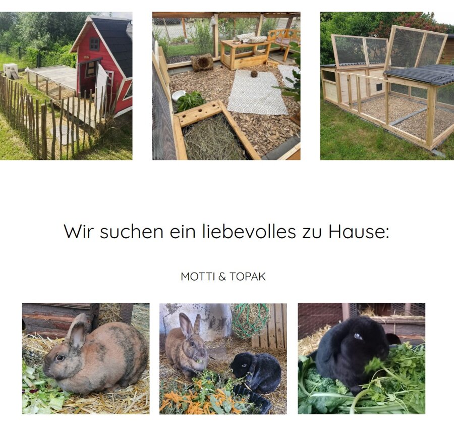 Spendenaktion - Gemeinsam stark für Tiere e.V.