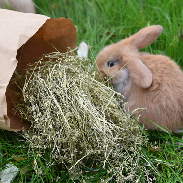 grünhopper Täschel Liebe 100 g