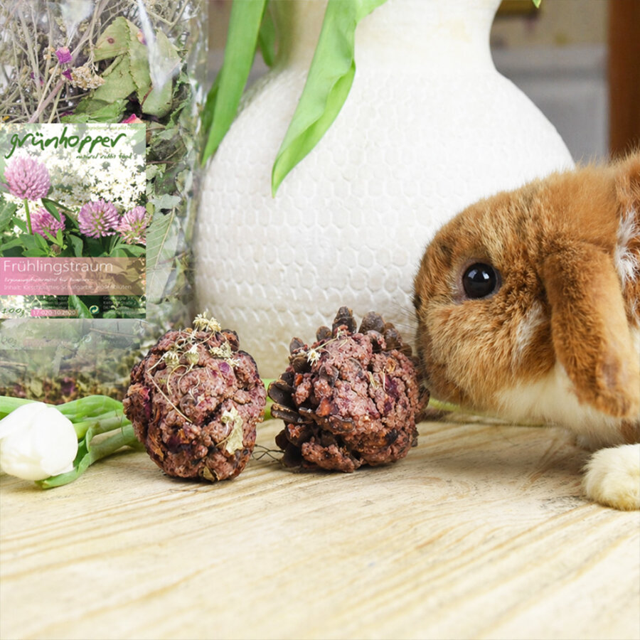 grünhopper Frühlingstraum