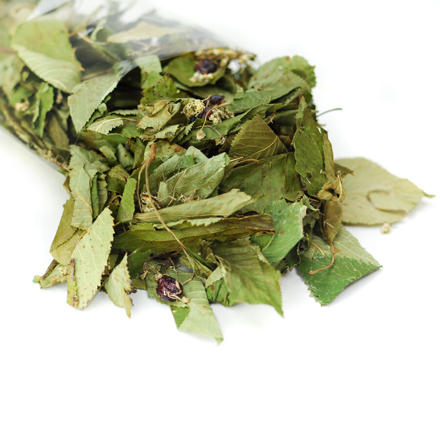 grünhopper Kirschblüte