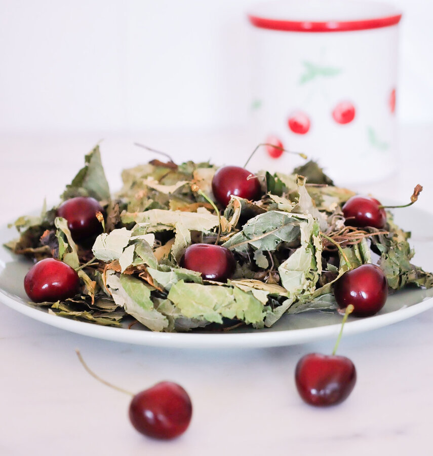 grünhopper Kirschblüte