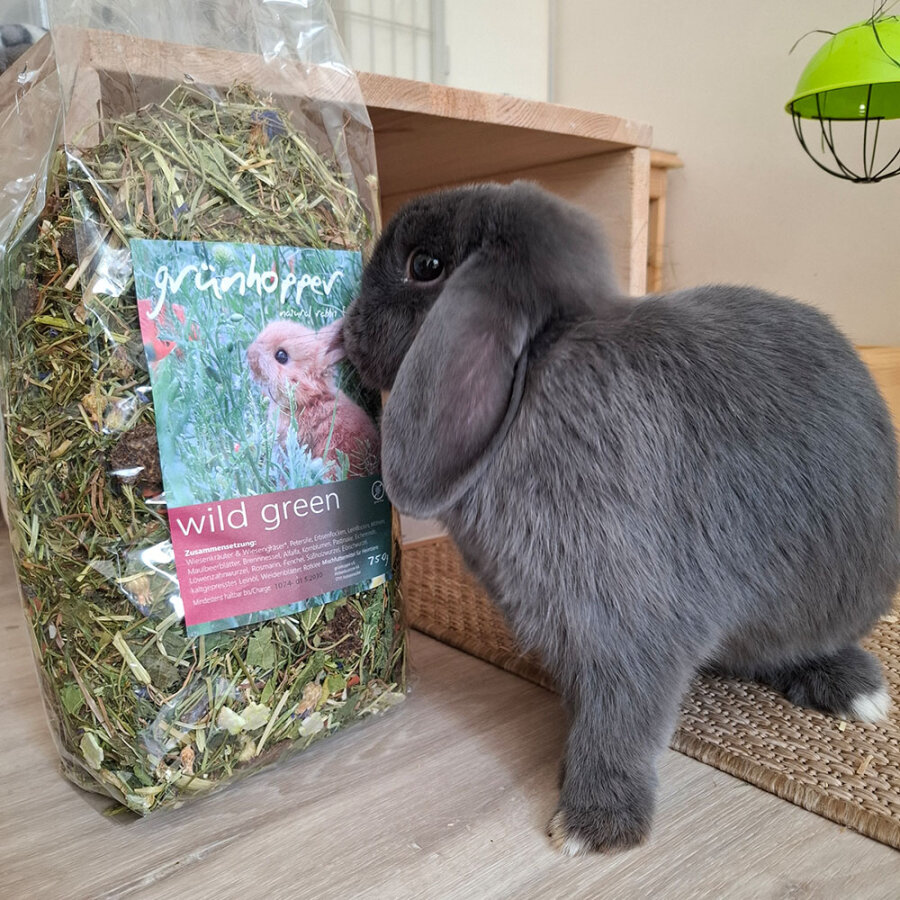 grünhopper Adult wild green