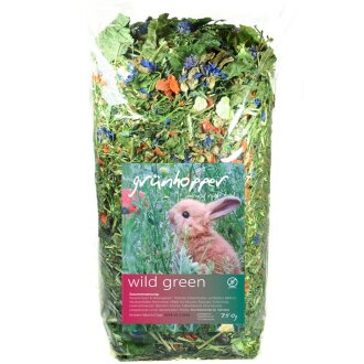 gr&uuml;nhopper Adult wild green