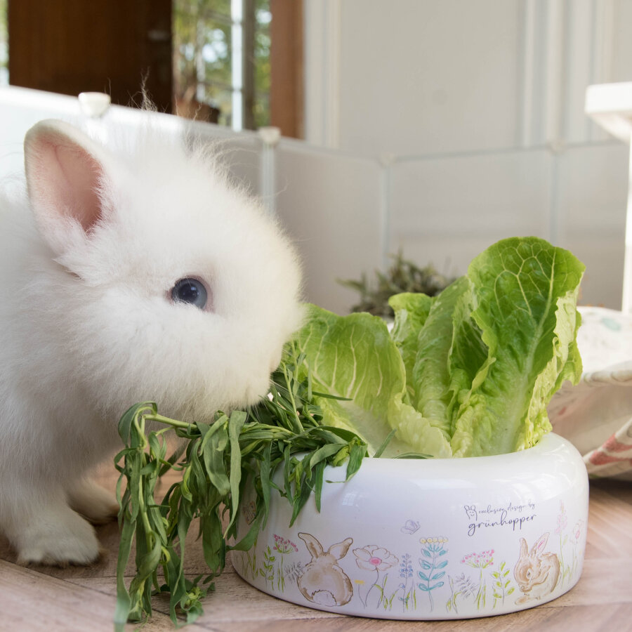 Napf bunny&blossoms