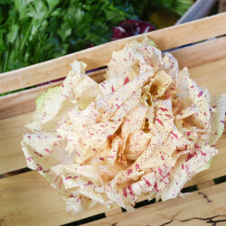 Frischekiste Castel franco AUSVERKAUFT