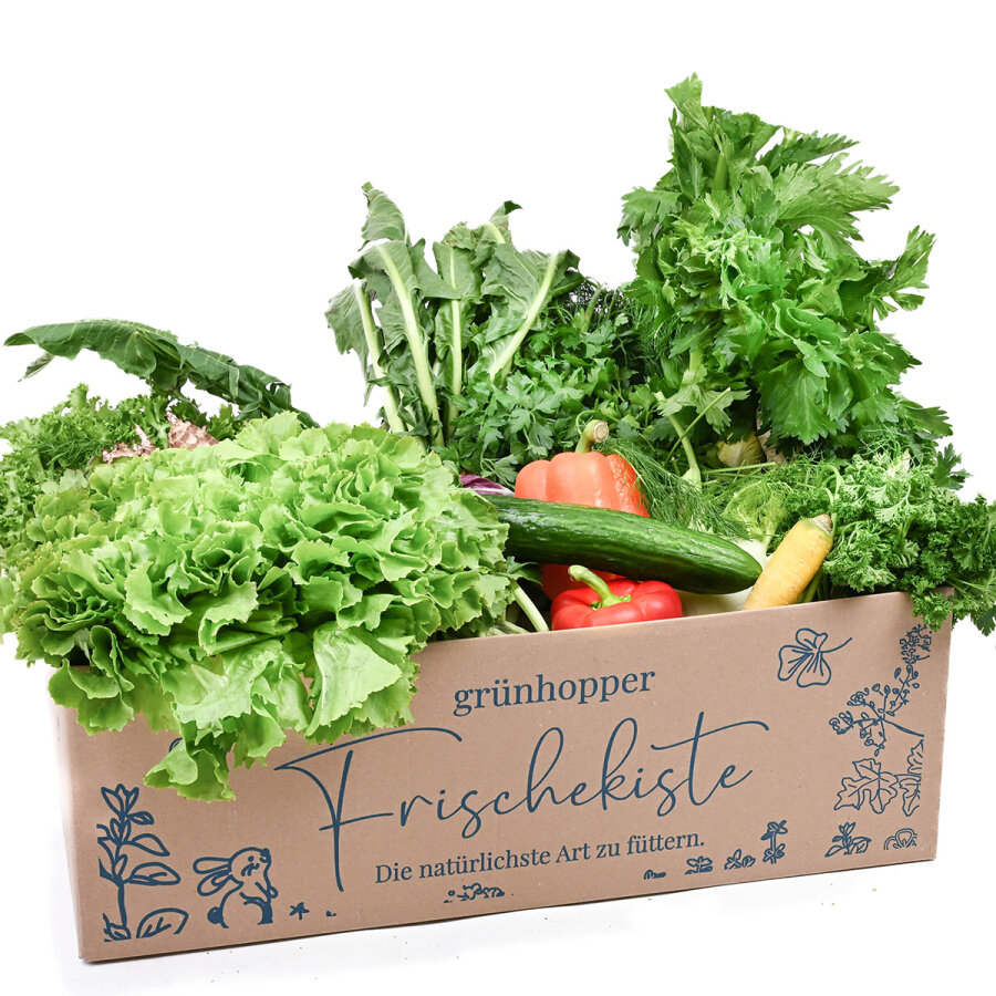 Frischekiste Meerschweinchen 5 kg