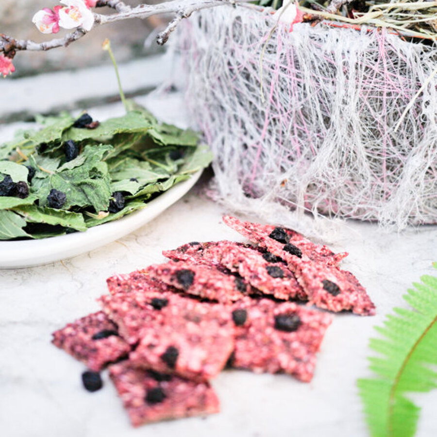 Hopps rote Johannisbeere