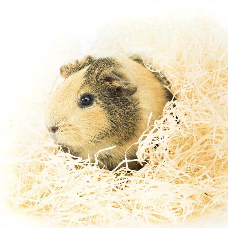 Kuschelwolle