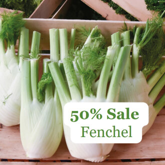 Frischekiste Fenchel