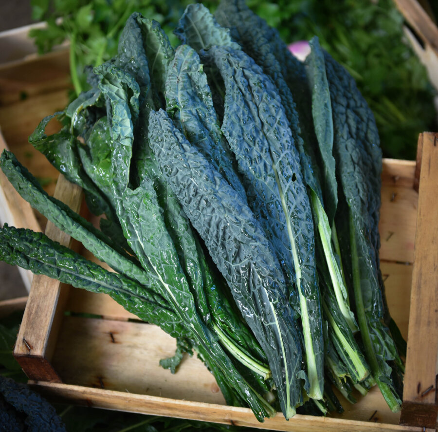 Frischekiste Schwarzkohl/ Palmkohl 40% Rabatt