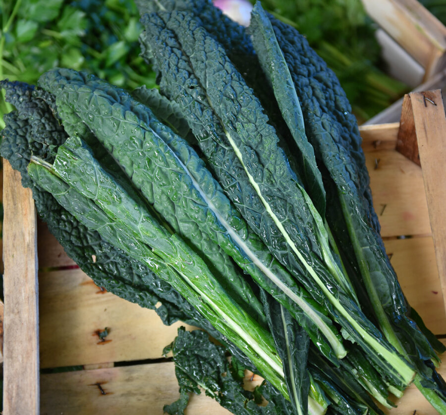 Frischekiste Schwarzkohl/ Palmkohl