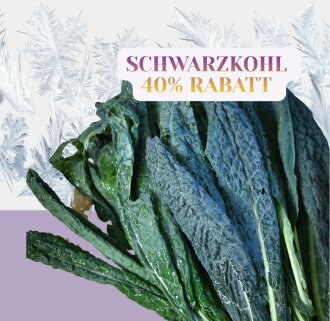 Frischekiste Schwarzkohl/ Palmkohl 40% Rabatt