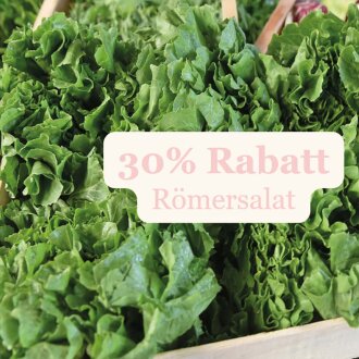 Frischekiste Römersalat