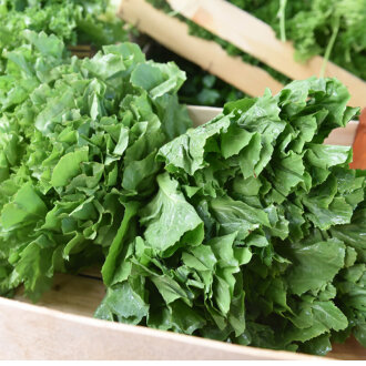 Frischekiste R&ouml;mersalat