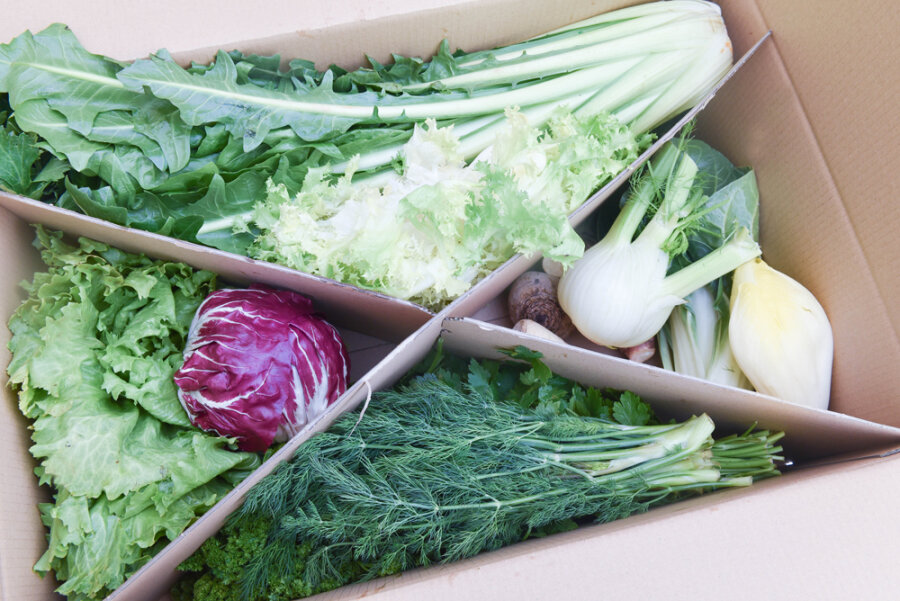 Frischekiste Bunte Vielfalt