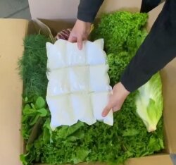 Frischekiste Bunte Vielfalt