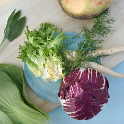 Frischekiste Bunte Vielfalt