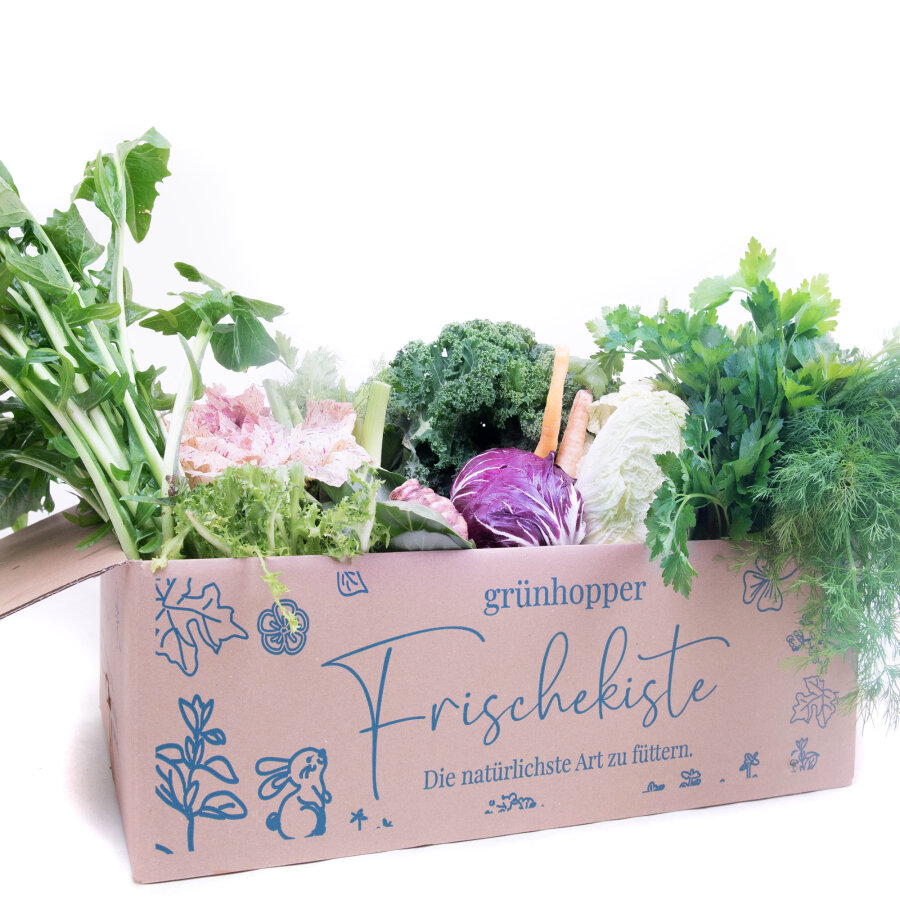 Frischekiste Bunte Vielfalt 3 kg
