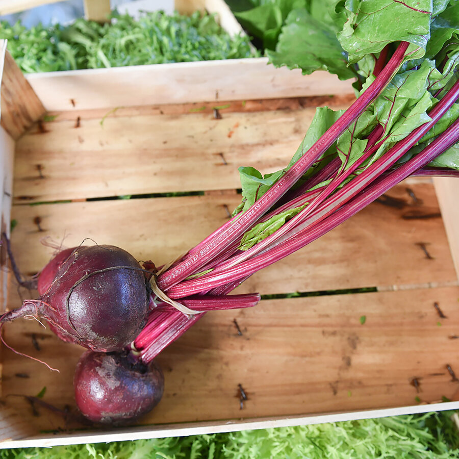 Frischekiste Rote Beete Bund 1 Stück