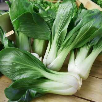 Frischekiste Pak Choi 250g