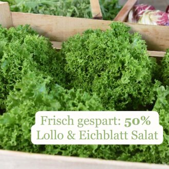 Frischekiste Lollo Salat